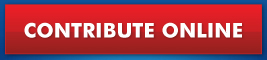 Contribute Online